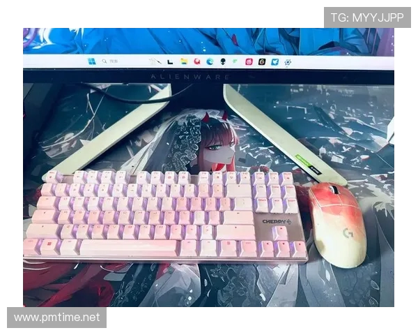 笔记本游戏电竞有线鼠标送鼠标垫，双重享受电竞激情与实用性的完美组合